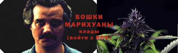ECSTASY Алзамай
