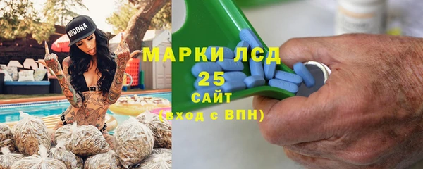 ECSTASY Алзамай